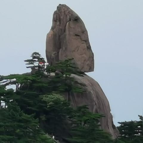 《红楼梦》剧情攻略：自扫图解析，深度解读必看秘籍