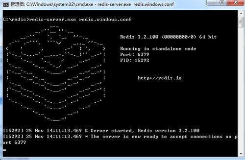 攻速布隆，打破常规的独特出装玩法解析