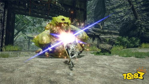 《怪物猎人崛起》新手开荒必看！高效攻略解锁新境界