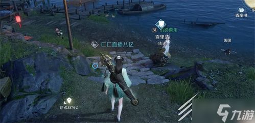 逆水寒西湖素鱼布袋技能攻略：金明鱼痴视频教学，快速掌握独门秘籍