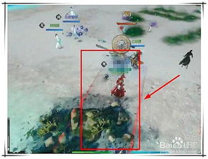 逆水寒毒云子战法揭秘：剑行宗师独门解毒技巧大公开