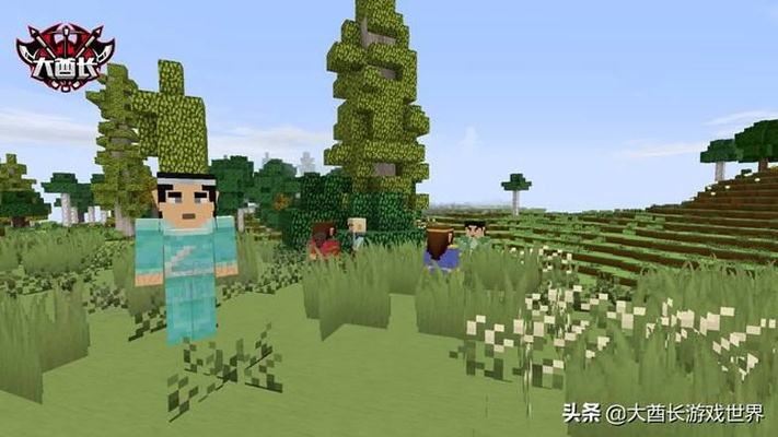 《我的世界》高手与新手对决揭秘：深度解析两大阵营差异与技巧！