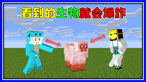 《我的世界》生存必备！滑稽表情沙门教程，轻松解锁趣味玩法