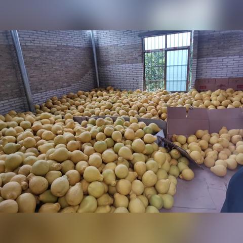 堡垒之夜多汁果园攻略：揭秘必胜点位与技巧解析