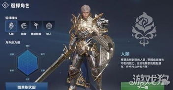 天堂2职业全解析：三大弓手、三大法师、三大刺客，总有一款适合你！