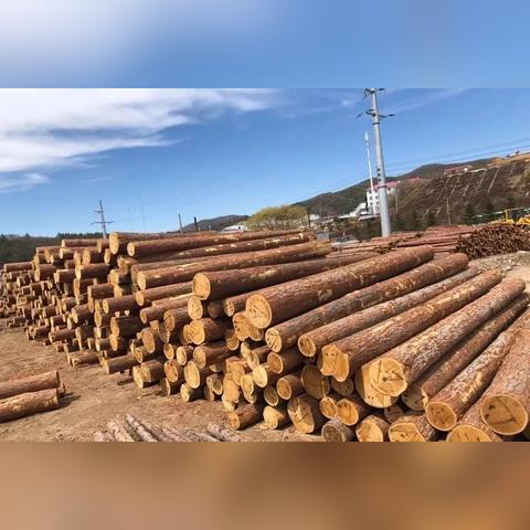 堡垒之夜木材富集地揭秘:高效采集攻略指南 堡垒之夜木材富集地揭秘:高效采集攻略指南