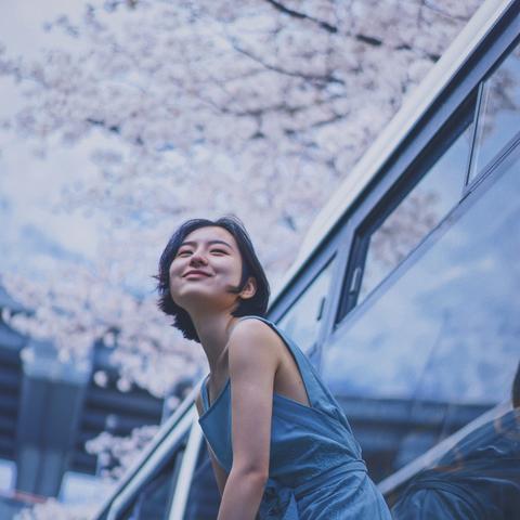 樱花App免费下载大全，探索多元应用的精彩世界