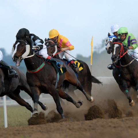 GTA6震撼发售,引领游戏史最大变革,创新体验不容错过 GTA6震撼发售,引领游戏史最大变革,创新体验不容错过