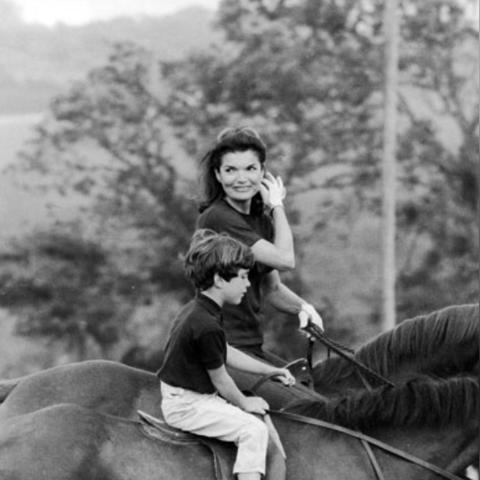 孤岛危机3游戏攻略：如何在纽约的热带雨林中生存