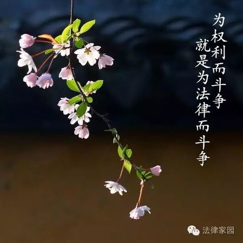 次第开：探索花开的美丽与哲理