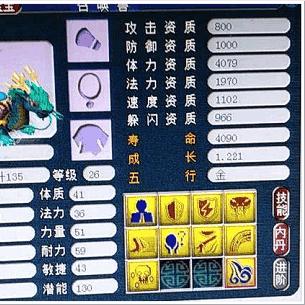 手游龙龟出装全解析，打造最强反伤肉盾