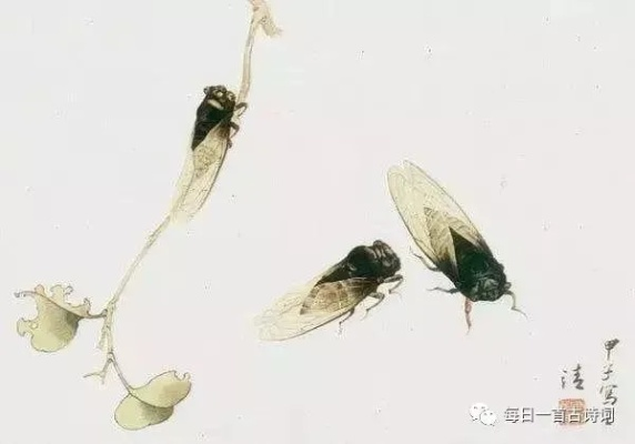 蝉的诗意：诗人笔下的高洁与孤独