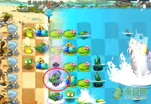 植物大战僵尸2巨浪海滩（ 巨浪海滩的特色新植物有哪些）