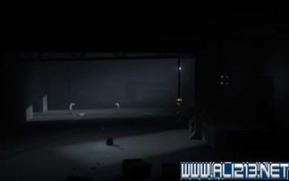 《Inside》全攻略揭秘：深度解谜流程解析，解锁隐藏秘密