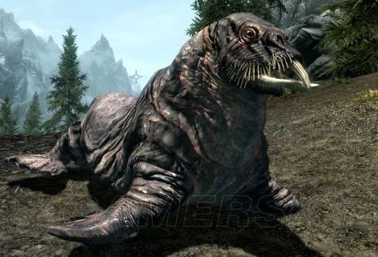 《上古卷轴5》生物图鉴深度解析：揭秘神秘生物进化奥秘