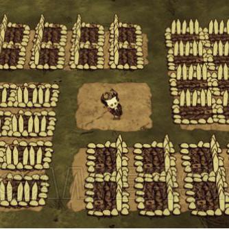 《饥荒》基地布局攻略：打造高效生存空间秘籍揭秘