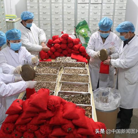 武器大师加点攻略：详解主W副E思路，助你快速上手！