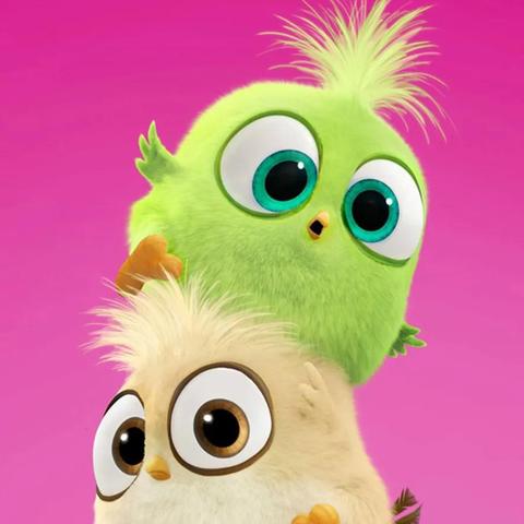 愤怒的小鸟hd（益智游戏适合男生玩吗）