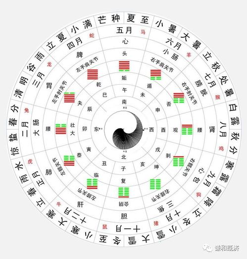《太吾绘卷》出生月特性揭秘：解锁神秘成长路径！