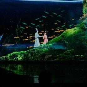 《暗黑破坏神不朽》宝石解析：揭秘阴影回响宝石强大效果与独特价值