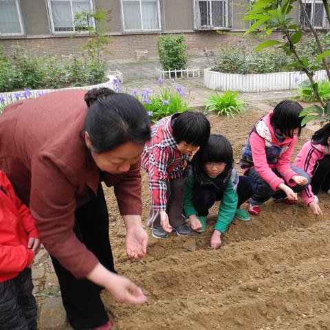 最新地震消息，生命的考验与希望的曙光