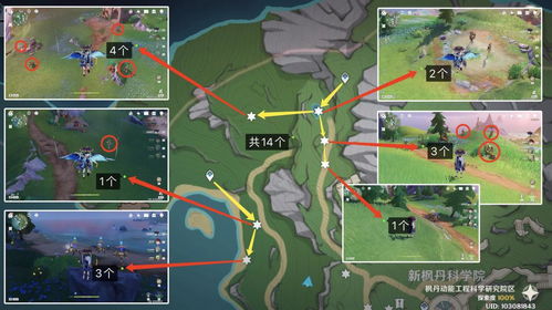 遗迹龙兽攻略：高效讨伐路线解析，点位分布全揭秘