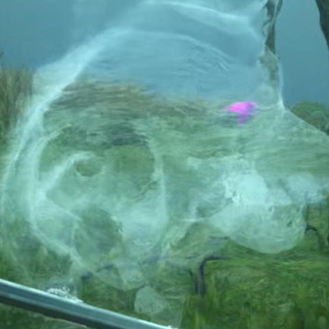 探秘安卓游戏破解 mod 平台，灰色地带的博弈与反思