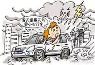 如何应对暴雨积水？蚂蚁庄园教你正确避险措施