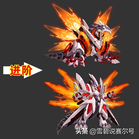 探秘，龙神哈莫为什么没人用