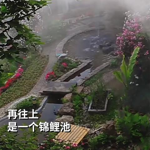 逃出梦中的别墅攻略（攻略秘诀大公开）