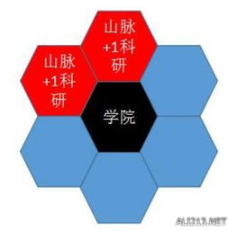 文明4怎么玩？从城市规划到外交策略全攻略