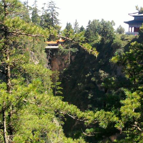 《守望先锋归来》雾子全新技能解析:揭秘神秘概念设计亮点 《守望先锋归来》雾子全新技能解析:揭秘神秘概念设计亮点