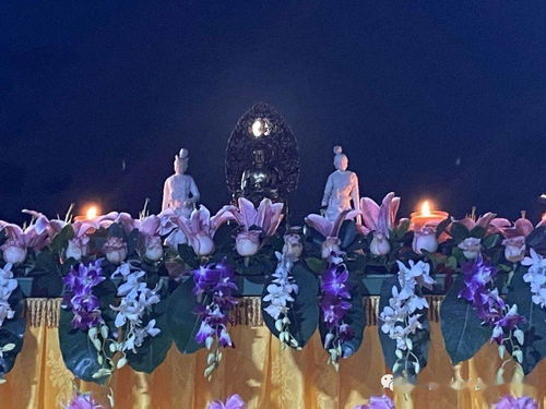 中秋节的别称大全：从月夕到团圆节的文化传承