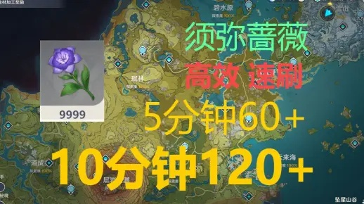 《原神》须弥蔷薇攻略：高效采集路线揭秘，轻松获得稀有资源