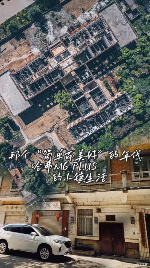 《最远的边陲》650人小镇布局攻略：揭秘高难度生存秘诀