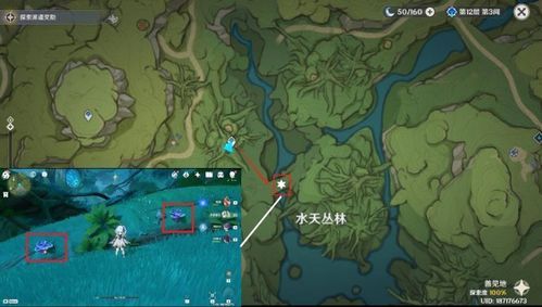 柯莱树王圣体菇高效采集攻略,解锁神秘元素力量秘籍 柯莱树王圣体菇高效采集攻略,解锁神秘元素力量秘籍