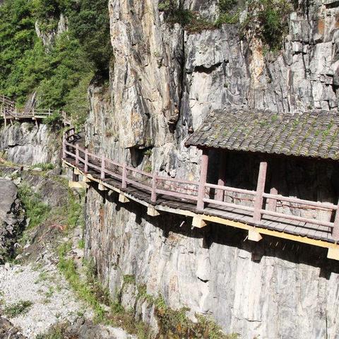 《无双大蛇2》司马组绝技揭秘:终极版组合技攻略大放送 《无双大蛇2》司马组绝技揭秘:终极版组合技攻略大放送