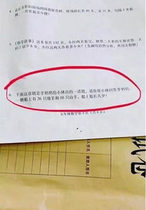 《原神》2.8版本夏之梦谜题解析：晶核机关攻略速览，解锁如诗如歌新境界