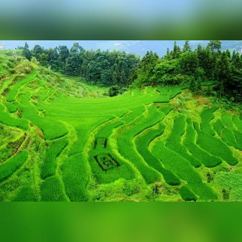 qq堂探险外挂（ 能让我的战绩飞升吗）