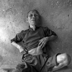 《见证者》画面玩法揭秘!深度解谜体验,这款游戏究竟有多好玩? 《见证者》画面玩法揭秘!深度解谜体验,这款游戏究竟有多好玩?