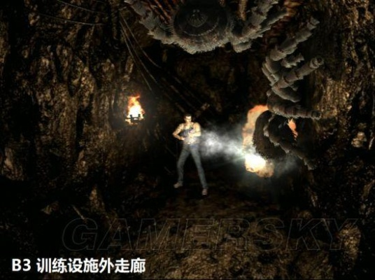 《生化危机0》水蛭猎人攻略：深度解析视频图文教程，助你轻松通关