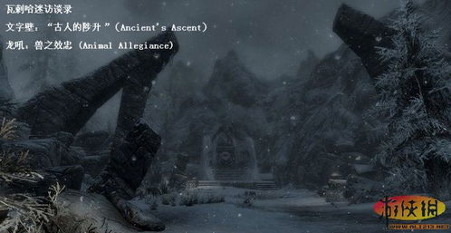 《上古卷轴5》龙吼技能详解：高效获取与实战技巧攻略