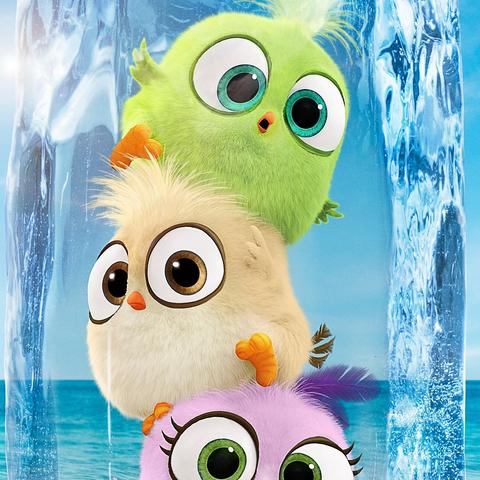 不愤怒的小鸟在线玩,愤怒的小鸟游戏怎么没了