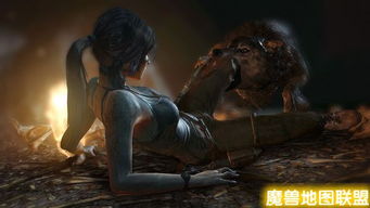 古墓丽影9配置（我的显卡够用吗）