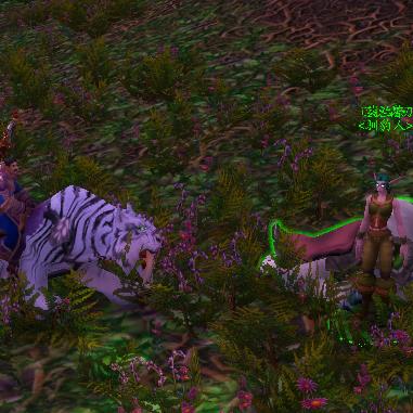 探寻魔兽世界,哪款战袍最为好看 探寻魔兽世界,哪款战袍最为好看