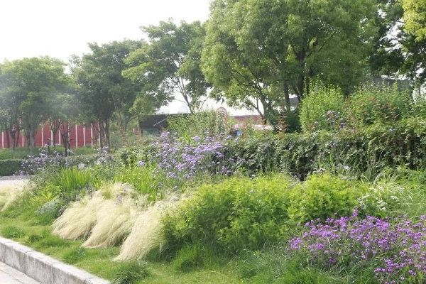 手机公园, 还是只是个噱头 手机公园, 还是只是个噱头