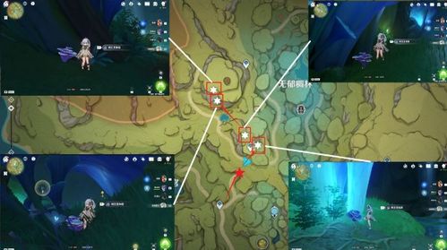 原神无郁稠林宝箱攻略：轻松解锁华丽宝箱宝藏