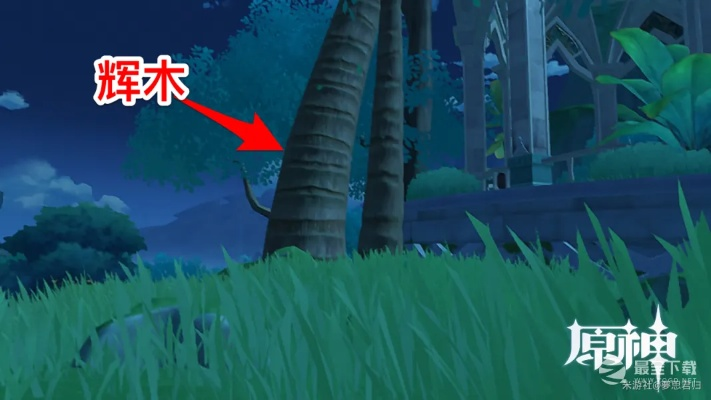 《原神》证悟木高效搜集攻略：快速获取证悟木秘籍分享