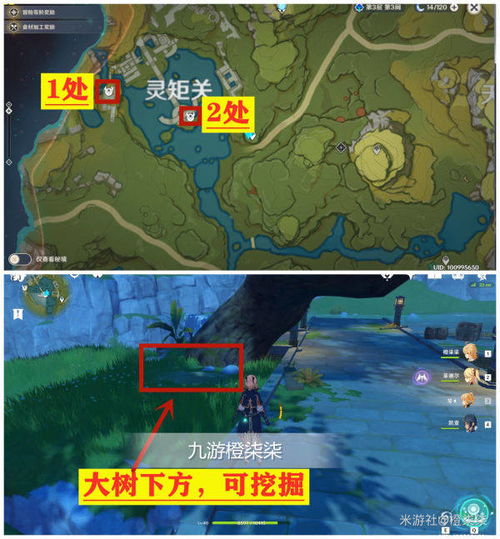 《原神》须弥地下探险指南：揭秘地图结构与神秘宝藏