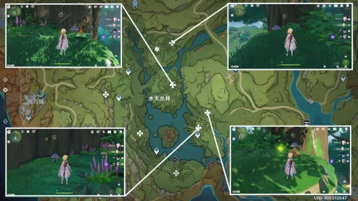 《原神》3.0须弥雨林宝箱攻略：全华丽宝箱位置图解析秘籍